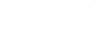 Akzonobel Logo