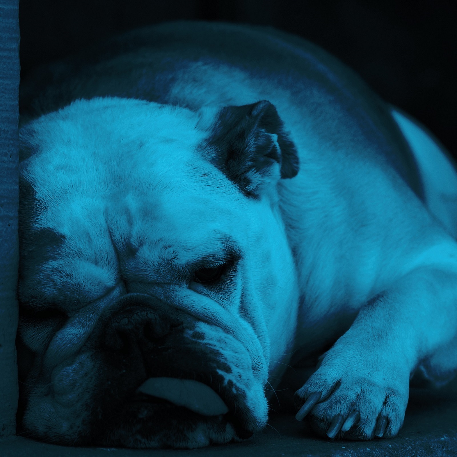 Causes of innovation inertia square