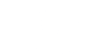 Akzonobel logo